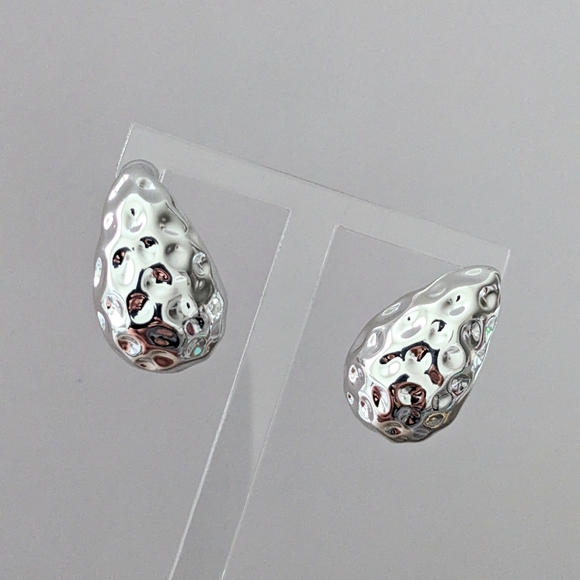 Chic Silver Twist Earrings - Picture 2 of 2